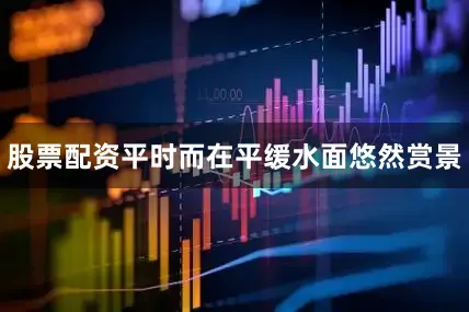 股票配资平时而在平缓水面悠然赏景