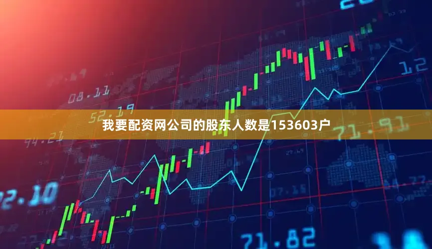 我要配资网公司的股东人数是153603户
