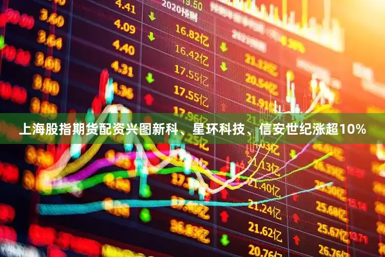 上海股指期货配资兴图新科、星环科技、信安世纪涨超10%