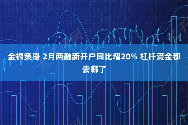 金橘策略 2月两融新开户同比增20% 杠杆资金都去哪了