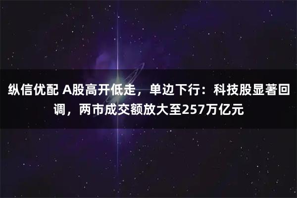 纵信优配 A股高开低走，单边下行：科技股显著回调，两市成交额放大至257万亿元