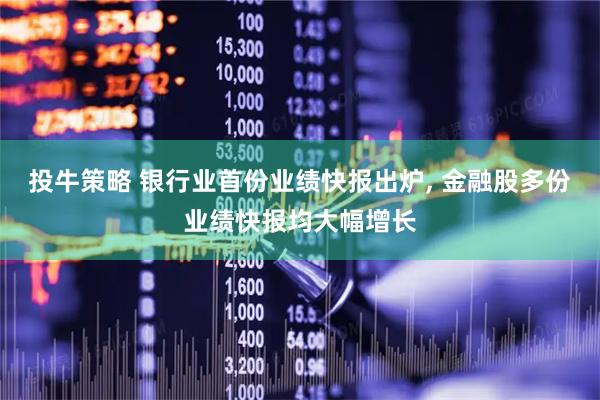 投牛策略 银行业首份业绩快报出炉, 金融股多份业绩快报均大幅增长