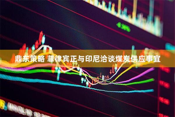 鼎东策略 菲律宾正与印尼洽谈煤炭供应事宜