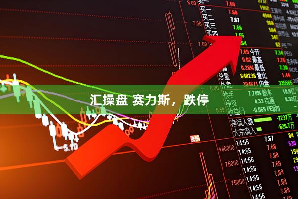 汇操盘 赛力斯，跌停