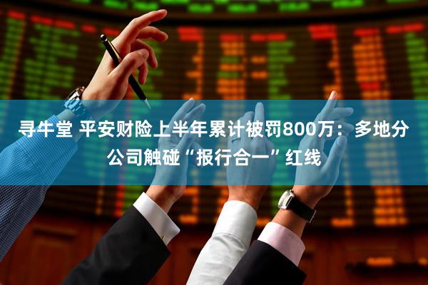 寻牛堂 平安财险上半年累计被罚800万:多地分公司触碰“报行合一”红线