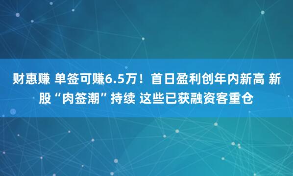 财惠赚 单签可赚6.5万！首日盈利创年内新高 新股“肉签潮”持续 这些已获融资客重仓